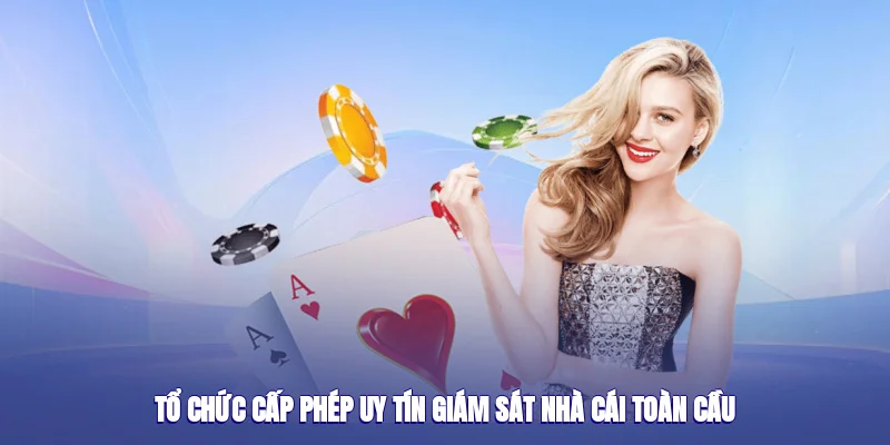 Các bước kiểm tra nhà cái trước khi tham gia